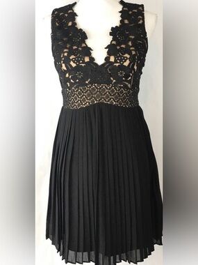 Heartloom Black Lace V-Neck Pleated Mini Dress